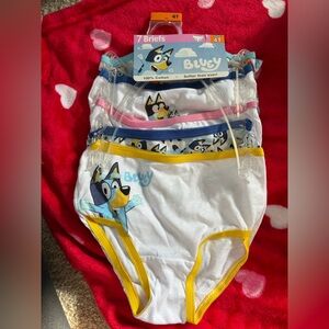 Kids Briefs Set - Multicolor